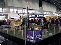 Heimtiermesse 2009   011